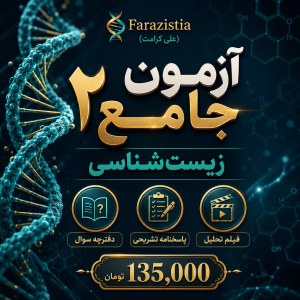 آزمون جامع 2